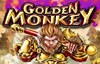 golden monkey slot logo