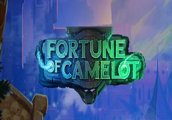 Fortune of Camelot Slot