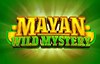 mayan wild mystery slot logo