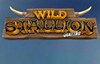 wild stallion quattro slot logo