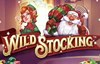 wild stocking слот лого