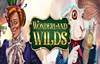 wonderland wilds слот лого