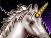 Unicorn Magic