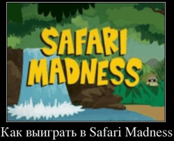 Как выиграть в Safari Madness