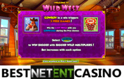 How to win at Wild West video slot