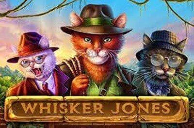 whisker jones slot logo