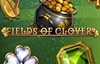 fields of clover slot logo