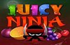 juicy ninja slot logo