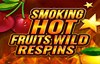 smoking hot fruits wild respins slot