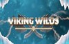 viking wilds slot logo