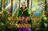 wizard of the woods слот лого