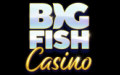Big fish casino logo