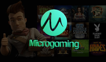 Microgaming providers