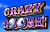 crazy goose slot logo