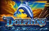 dolphins slot logo