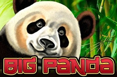 big panda slot