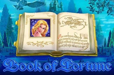 book of fortune slot