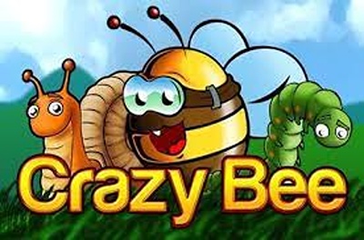 crazy bee slot
