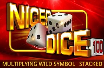 nicer dice 100 slot