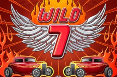 wild 7 slot