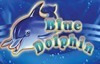 blue dolphin slot logo