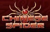 chinese spider slot logo