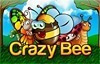 crazy bee slot logo