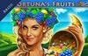 fortunas fruits слот лого
