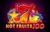 hot fruits 100 slot logo