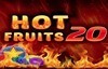 hot fruits 20 slot logo