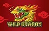 wild dragon slot logo
