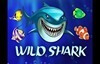 wild shark slot logo