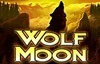 wolf moon slot logo