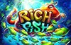 rich fish slot logo