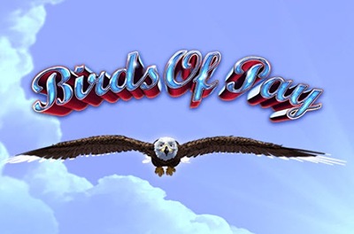 birds of pay slot logo