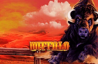 buffalo slot logo