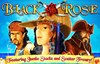 black rose slot