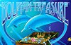 dolphin treasure slot logo