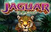 jaguar mist slot logo