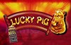 lucky pig slot