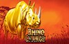 rhino charge slot