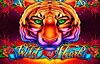 wild at heart slot