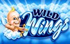 wild wings slot