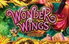 wonder wings slot