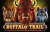 buffalo trail slot