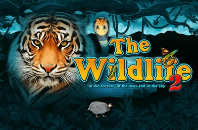 the wildlife 2 slot logo