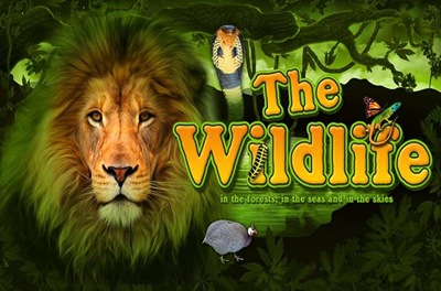 the wildlife slot logo