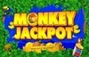 monkey jackpot слот лого