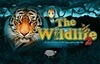 the wildlife 2 slot logo