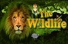 the wildlife слот лого